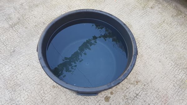 Continent plastique Bassine pleine.jpg
