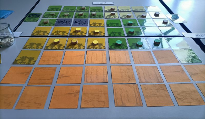 Fichier:Plante vs climat IMG20250530144522.jpg