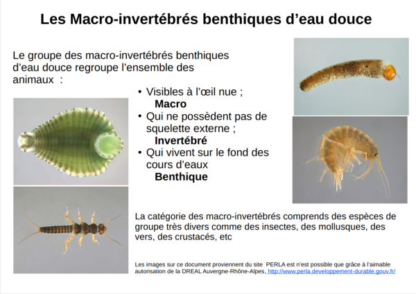 Indices biologiques de qualit de l eau Sans titre.png
