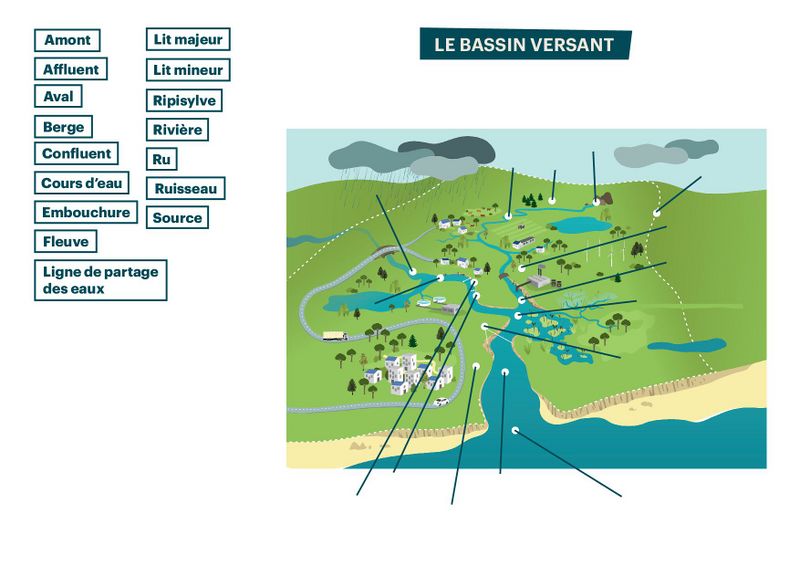Fichier:Le bassin versant SchemaBVacompleter.jpg