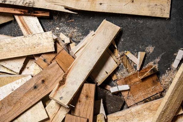 Catapulte Elastique chutes-bois.jpg