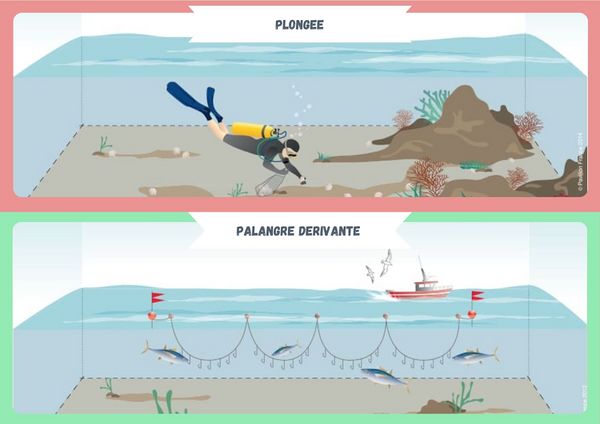 Identifier les techniques modernes de p che en mer 5 3.jpg