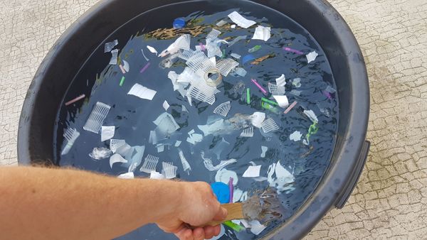 Continent plastique brassage dechets plastiques.jpg
