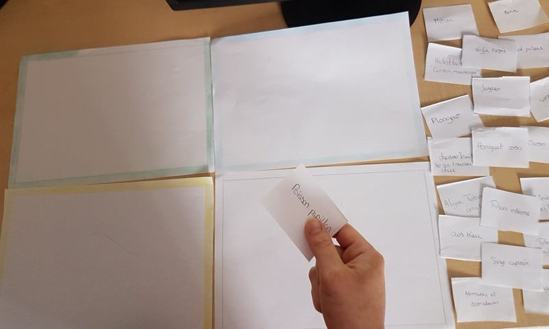 Biodiversit - Diversit des esp ces et des milieux 95690130 3311009438981368 8689061561018351616 n.jpg