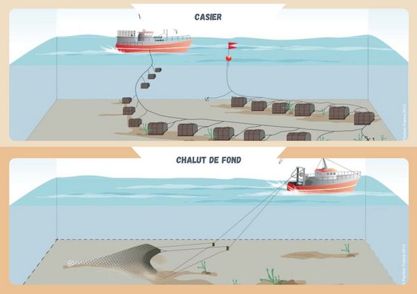 Identifier les techniques modernes de p che en mer 1 4.jpg
