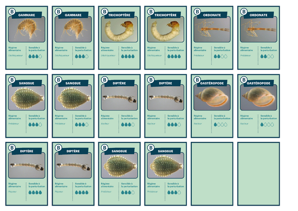 La diversit sp cifique l assurance de la fonctionnalit 19b Cartes-diversite-fonctionnelle-02.png