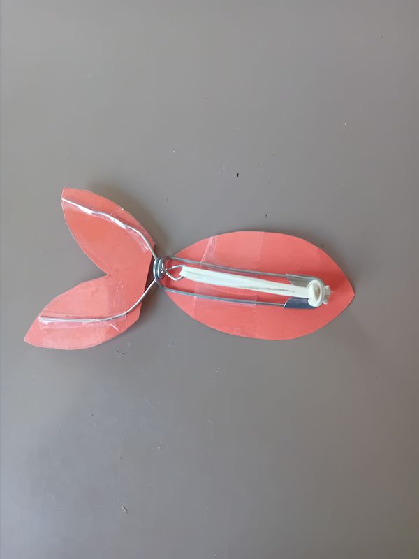 Poisson volant 20250414 143904.jpg