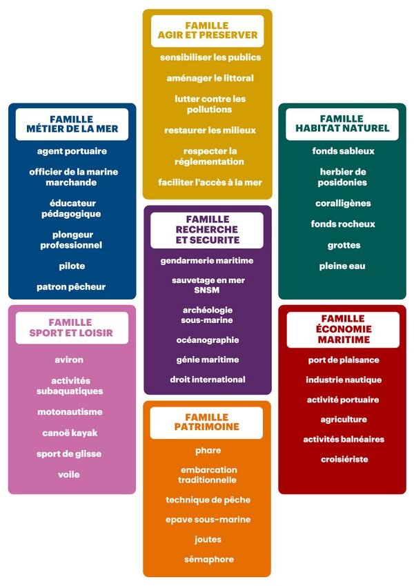 Item-cartes jeu 7 familles 3.jpg
