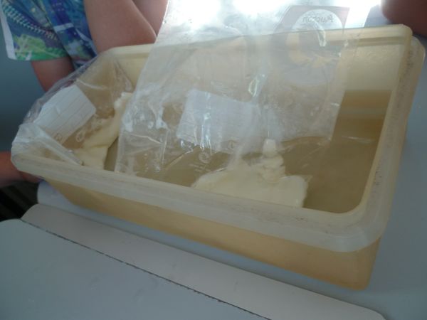 Bioplastique P1080479.JPG