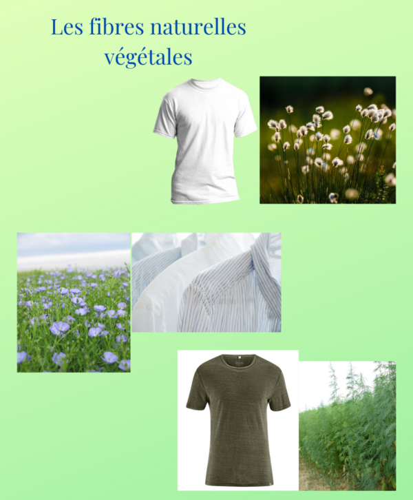 Les fibres textiles Végétale.png