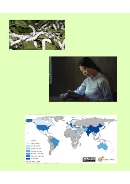 Fichier:Les fibres textiles 4.png