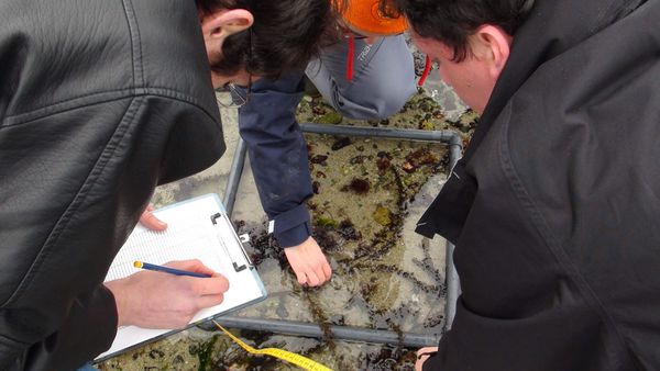 S initier aux sciences participatives sur le littoral Kreisker2011-2012-SortieStationBio-8.jpg