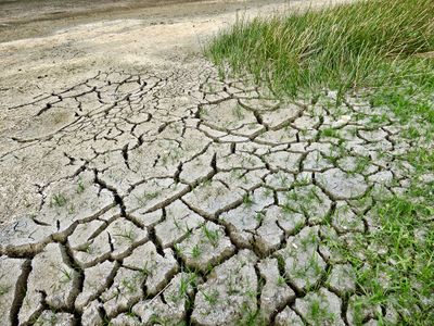 D_fi_-_lutter_contre_la_s_cheresse_climate-change-2241061_1920.jpg
