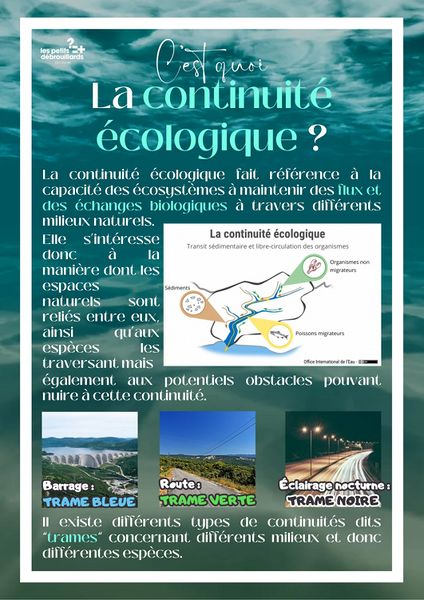 Fichier:Routes et migrations 3.jpg