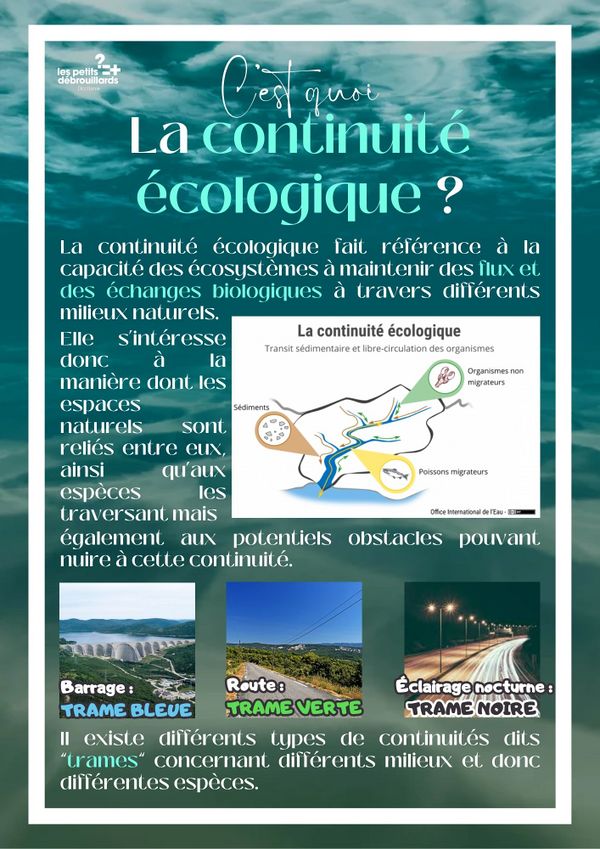 Routes et migrations 3.jpg