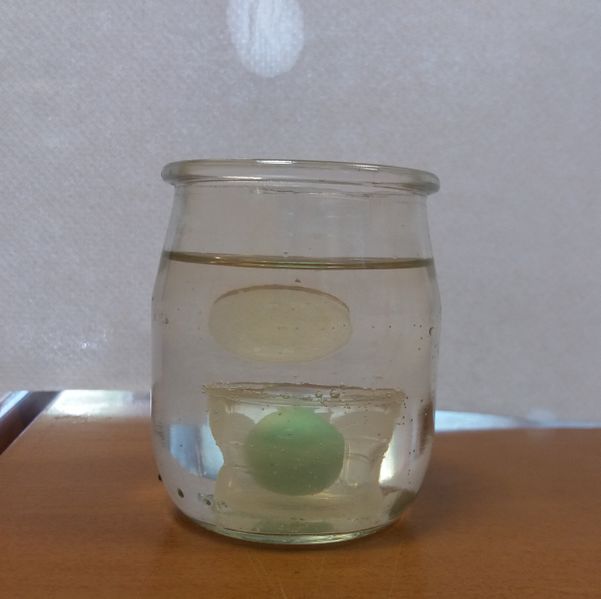 Fichier:Bulle d huile 20250611 135404.jpg